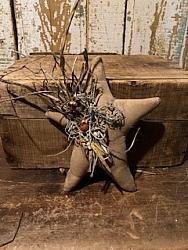 F-238 Muslin star