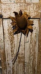 M-530 Mustard sunflower
