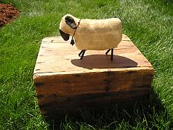 Painted Sheep M-228
