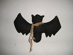 F-103 Painted Bat 
