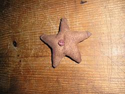O-116 Cinnamon Star 